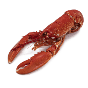 Crab.